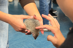 FNM_0000s_0000_IMG_1358