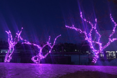 2-Tapiola-by-night