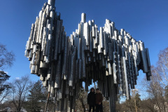 44-Sibelius-kip