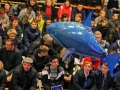 Foto 4, Tadej Regent, Delo, 14. 2. 2015
