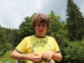 koroška25