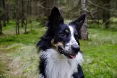 687fba91-229a-4171-bbc5-96105385e65d