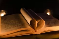 a24ce70d-62a9-4795-8c18-db58d7e5dc32