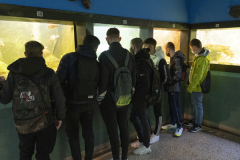 naravoslovni-dan-6-5-202110