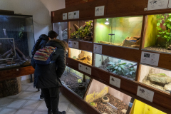 naravoslovni-dan-6-5-202111