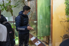 naravoslovni-dan-6-5-202112