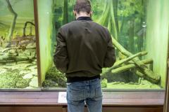 naravoslovni-dan-6-5-202113