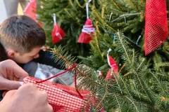 IMG_20241129_084813_0000_IMG_20241129_085357