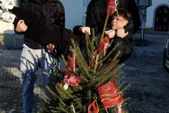 IMG_20241129_084813_0003_IMG_20241129_085053