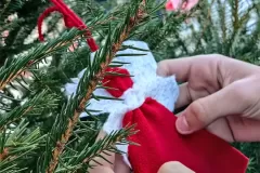 IMG_20241129_084813_0006_IMG_20241129_084942