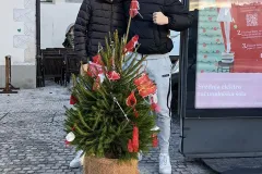 IMG_20241129_084823