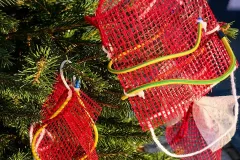 IMG_20241129_085037