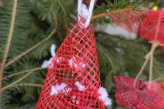 IMG_20241129_085234