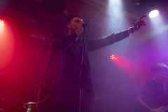 SERSROCK_22_70