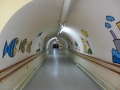DSCN7345