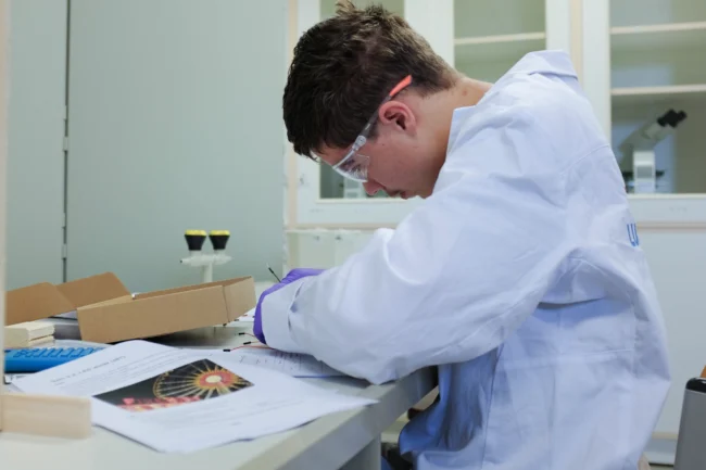 Maj Bombek Maj Bombek